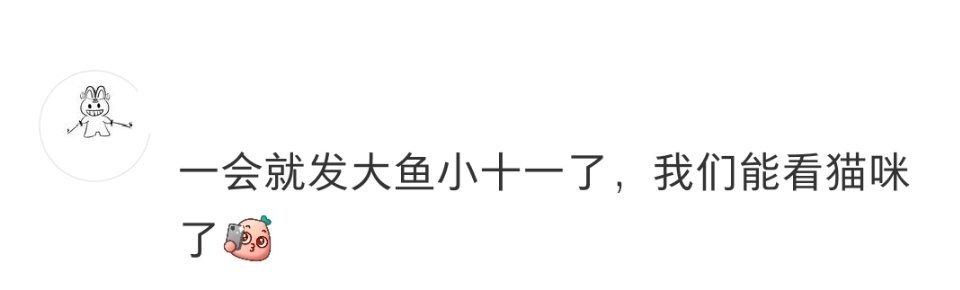 这个我真的绷不住 