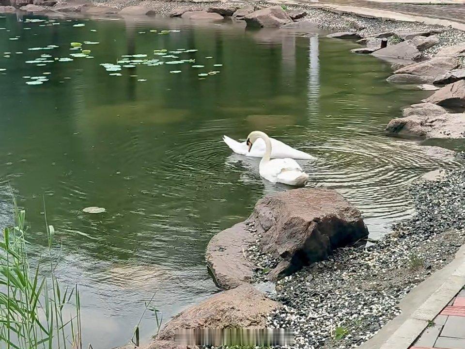 早安！一场及时雨洗去了昨日的狂风浮尘，空气里全是清清爽爽的味道，新的一天，愿你一