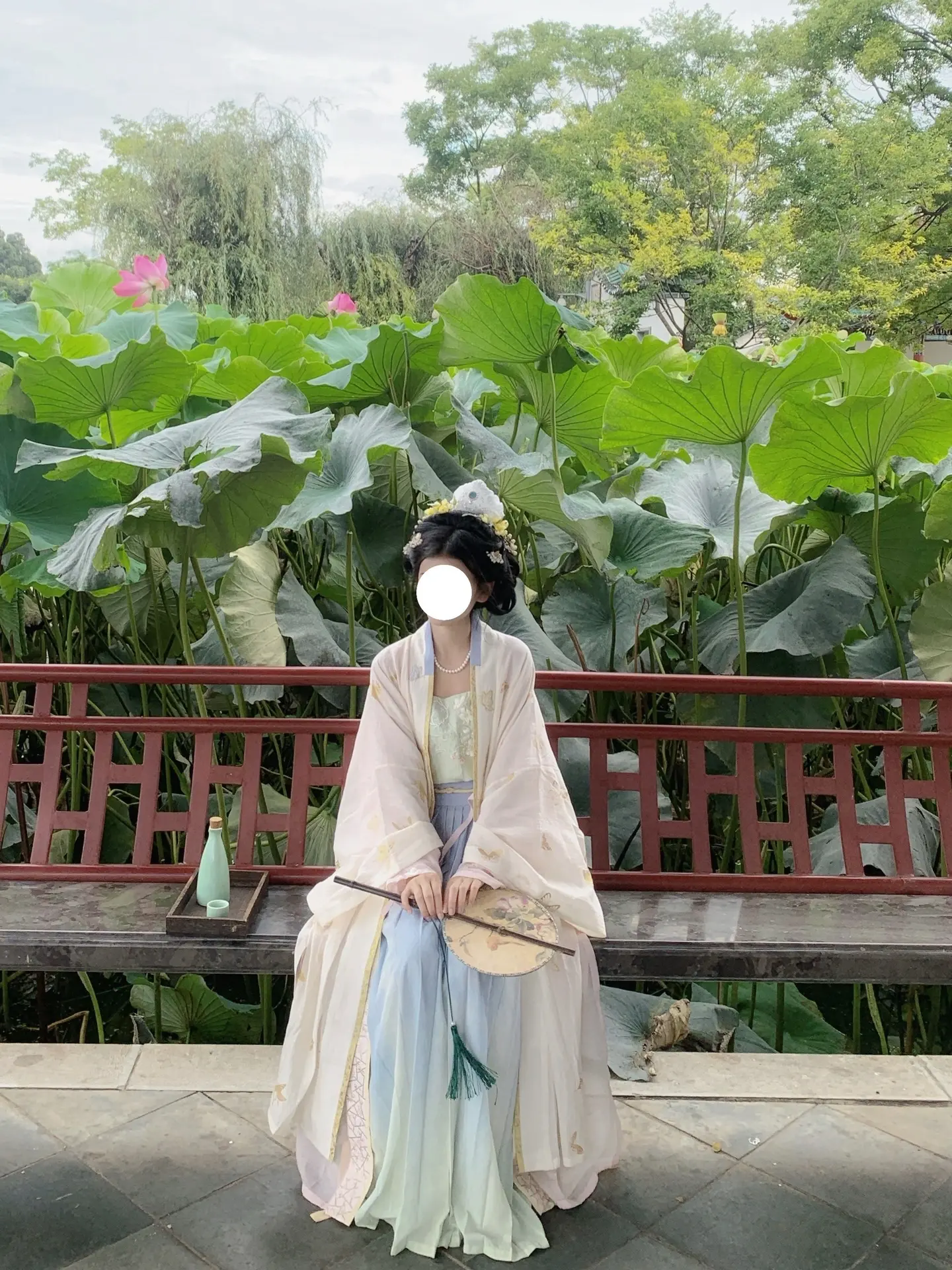 又快到拍荷花的季节啦。