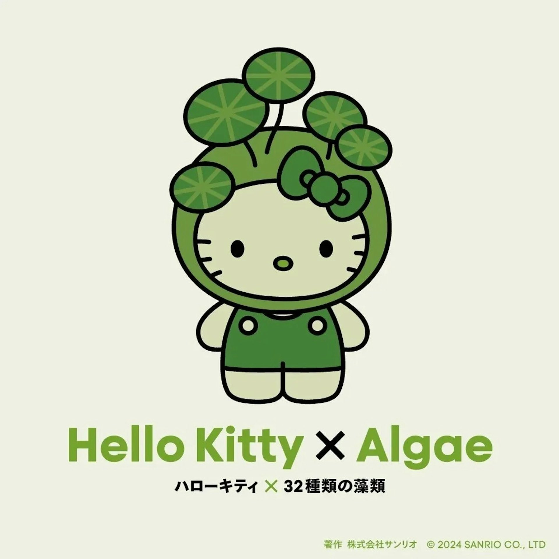 Hello Kitty × Algae