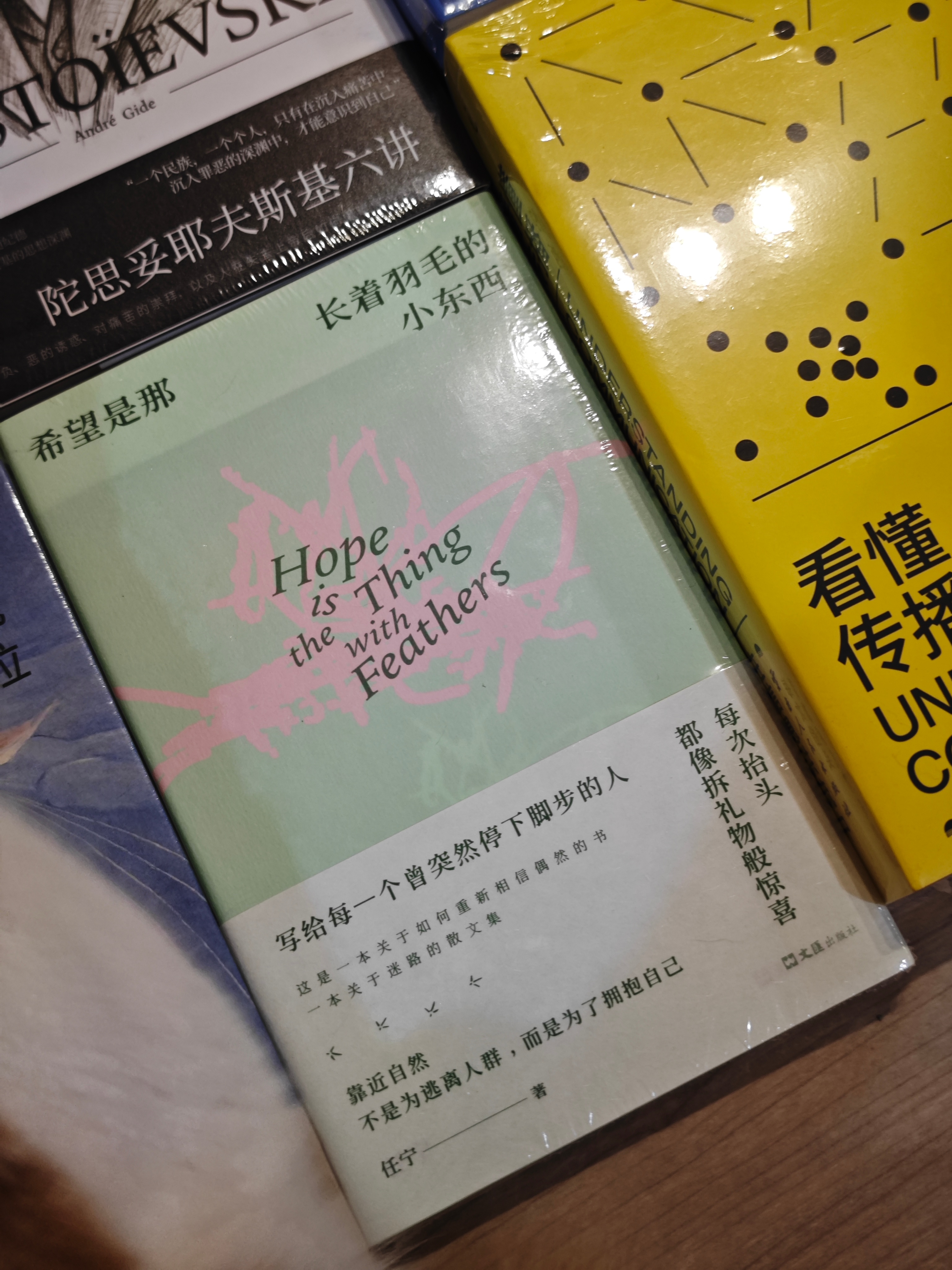 只有看过的书📚是属于自己的！！！此时此刻，书与猫🐱，治愈我被现实伤害的灵魂！