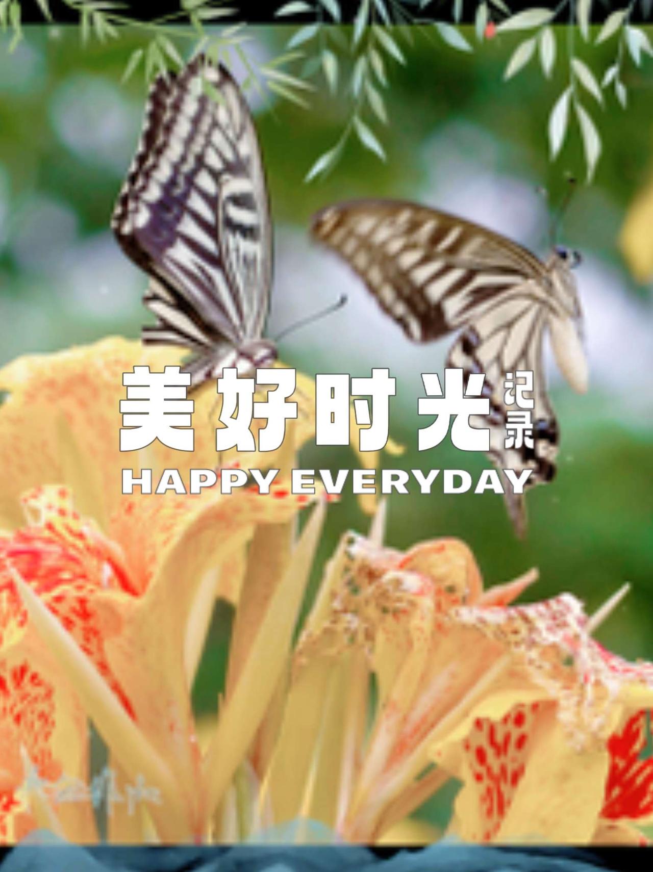 社会生活，既有美好时光，也有至暗时刻。在美好时光中，要珍惜这种成双翩翩起舞的好时