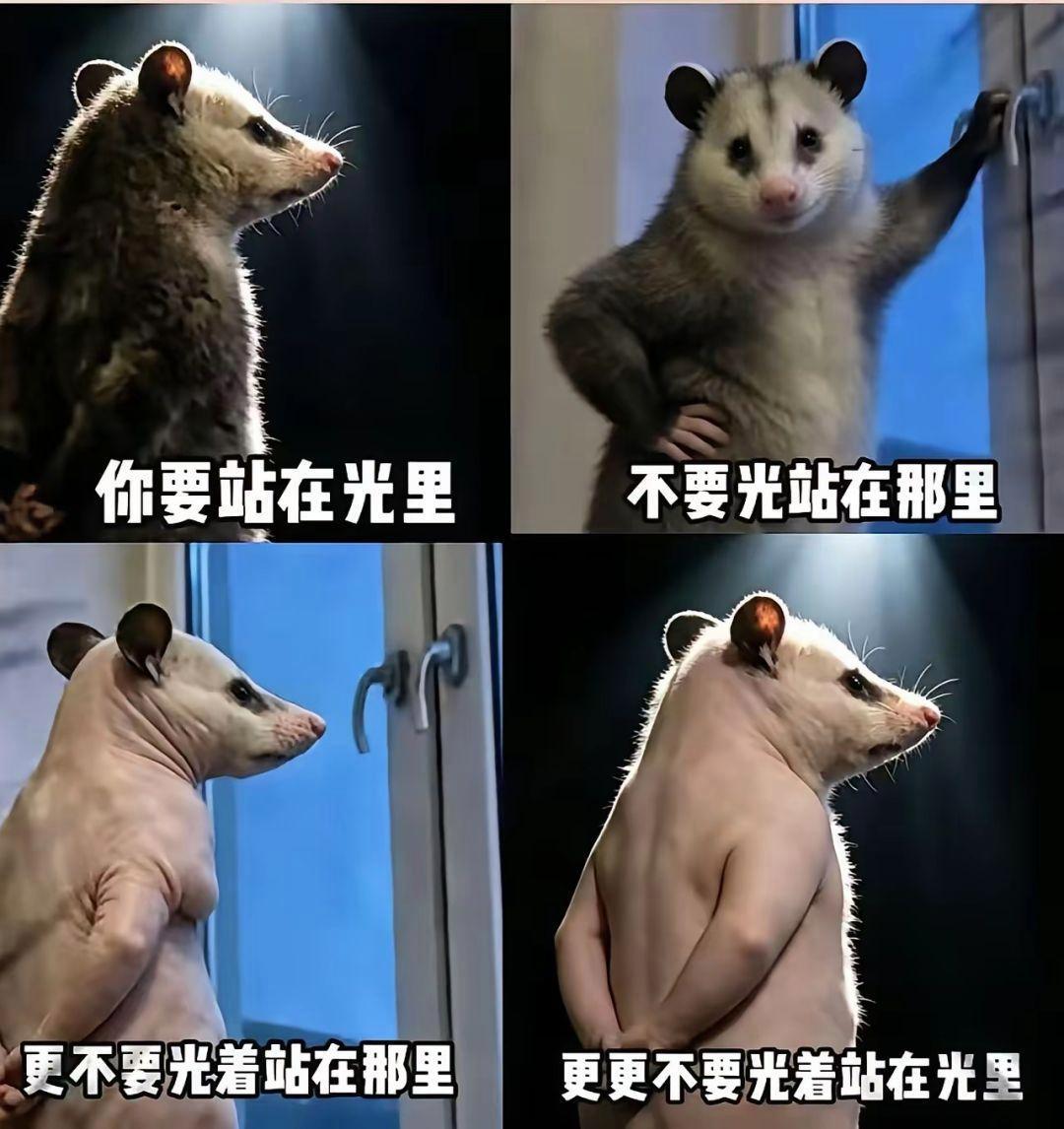 要站在光里，不要光站在那里。 