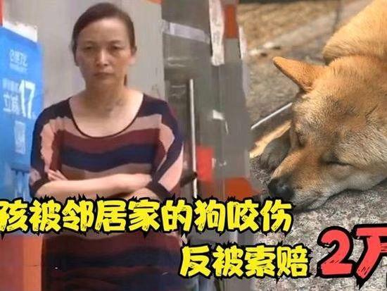 国家应该出台法律，明确规定:任何人在任何情况下，只要被狗咬，就有权将狗打死，无须