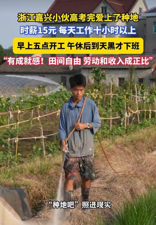 "别人考完高考吃喝玩乐到处旅游，我五点下地挣辛苦钱！"浙江嘉兴高考小伙不走寻常路