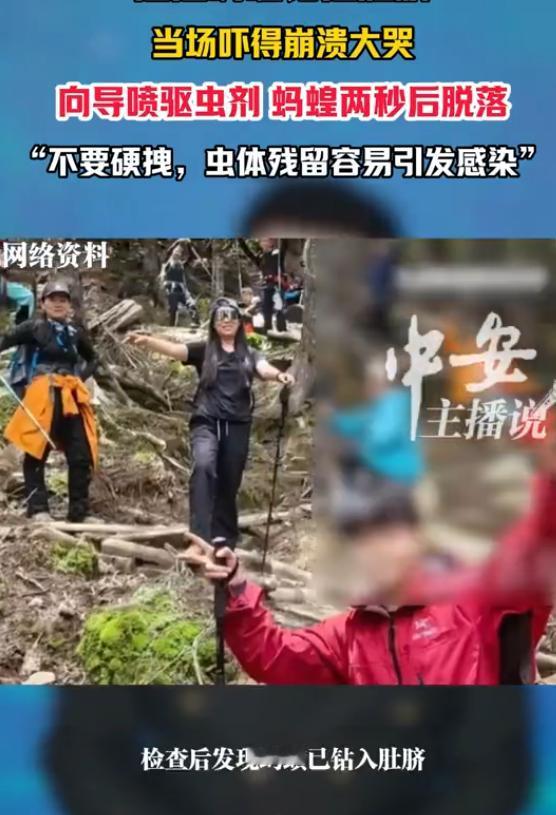 [抓狂]“后怕不已！”云南香格里拉，一女子随18人徒步队进山，走着走着肚脐一阵刺
