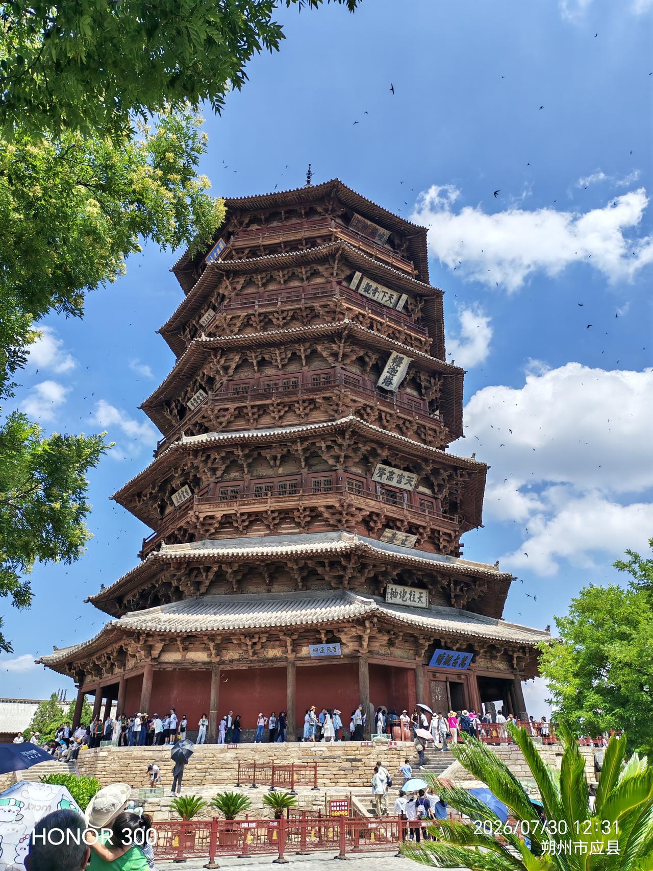 麻燕与木塔的千年共生关系：木塔为麻燕提供栖息地，麻燕帮木塔控制害虫。
木塔高67