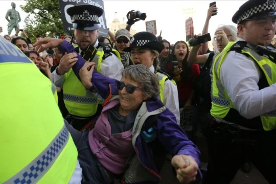 恐怖分子？英国支持巴勒斯坦组织抗议者被捕