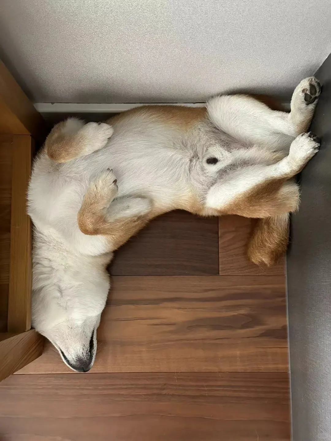瑜伽大师🧘🏻‍♀️🧘🏻‍♂️