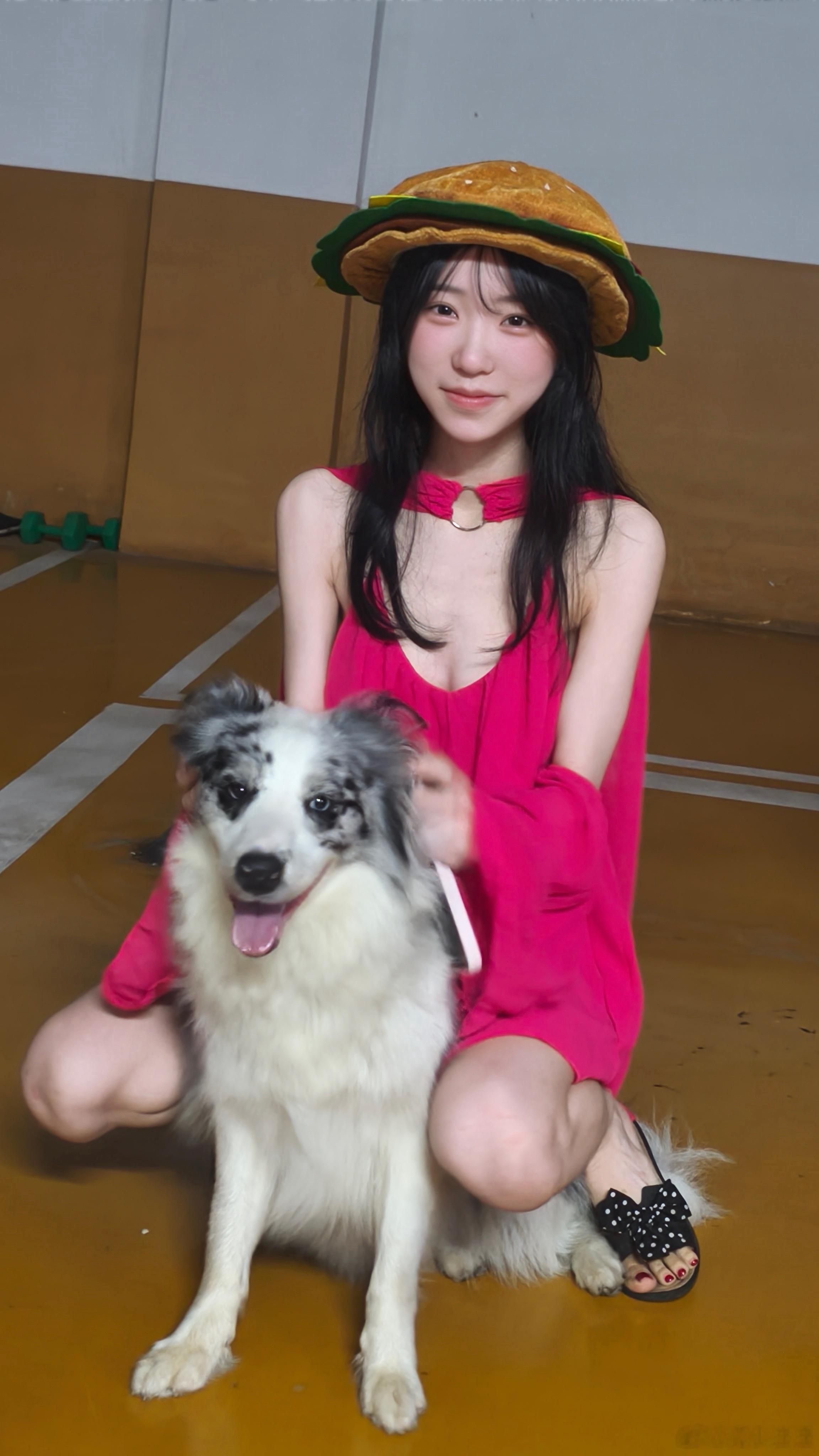 汪汪汪 义乌