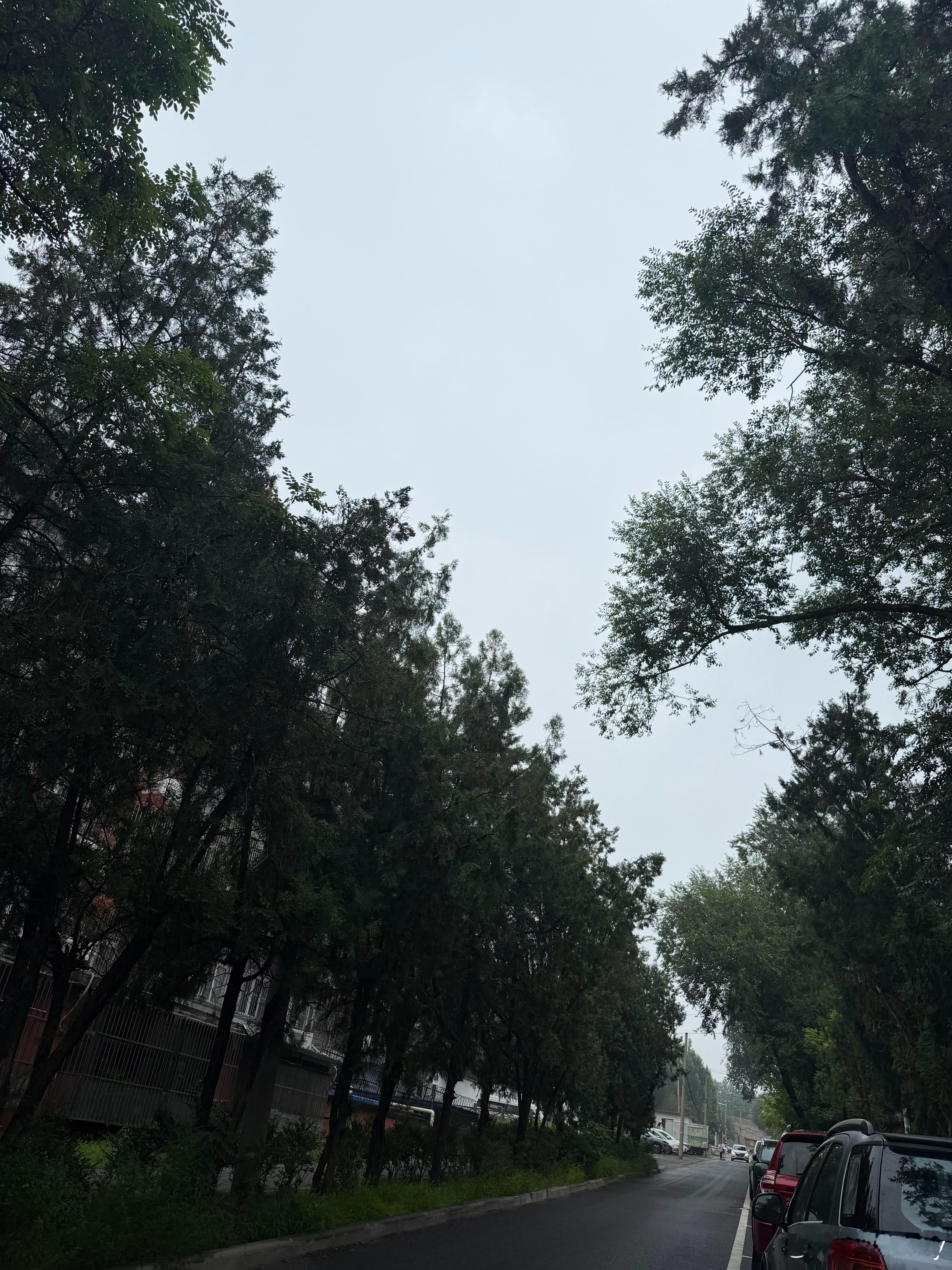 北京暴雨坐标房山昨天夜里下了一会不算大，目前阴天还没下，看这天气雨是随时准备着。
