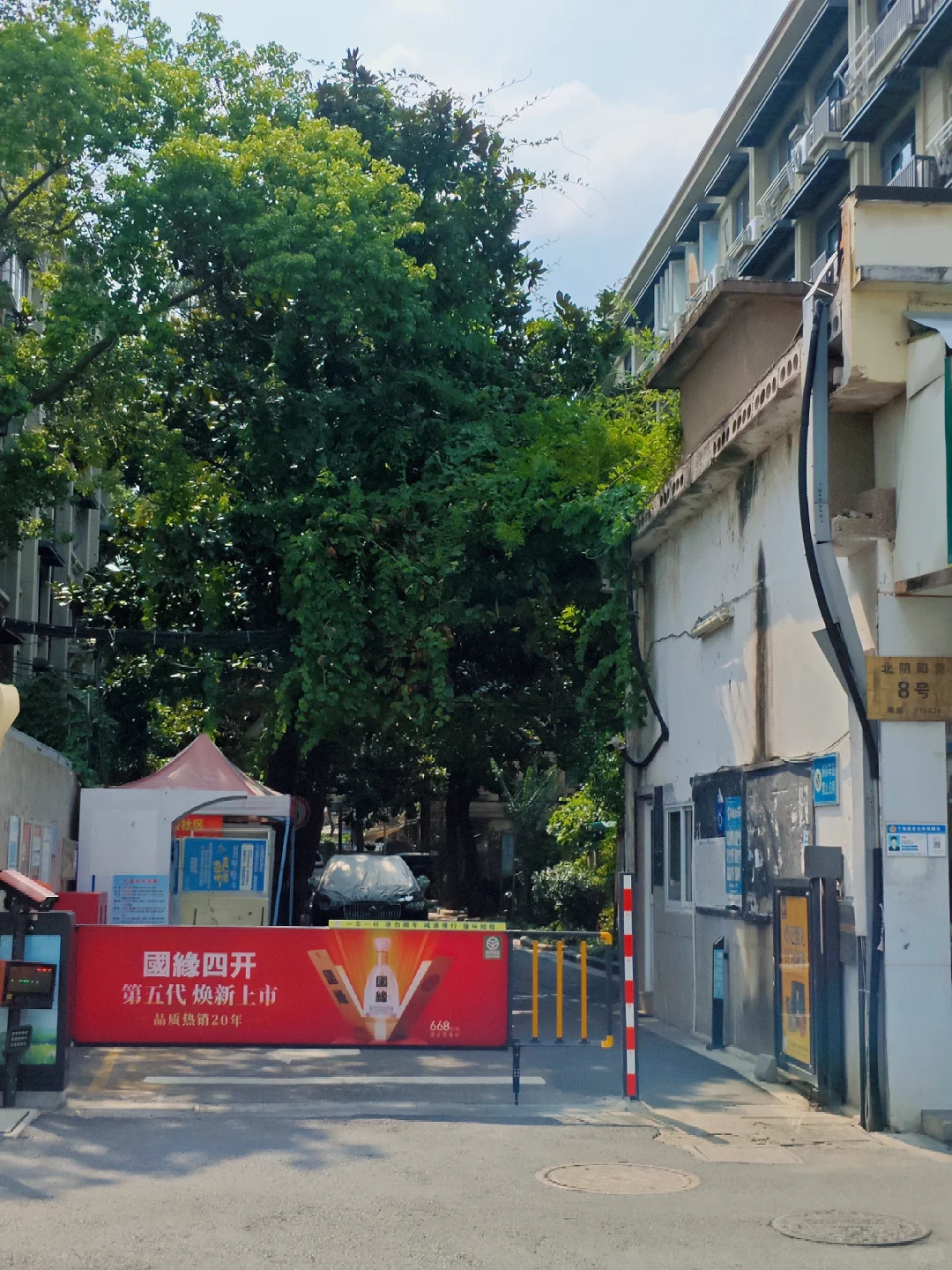 【南京访古】北阴阳营古文化遗址