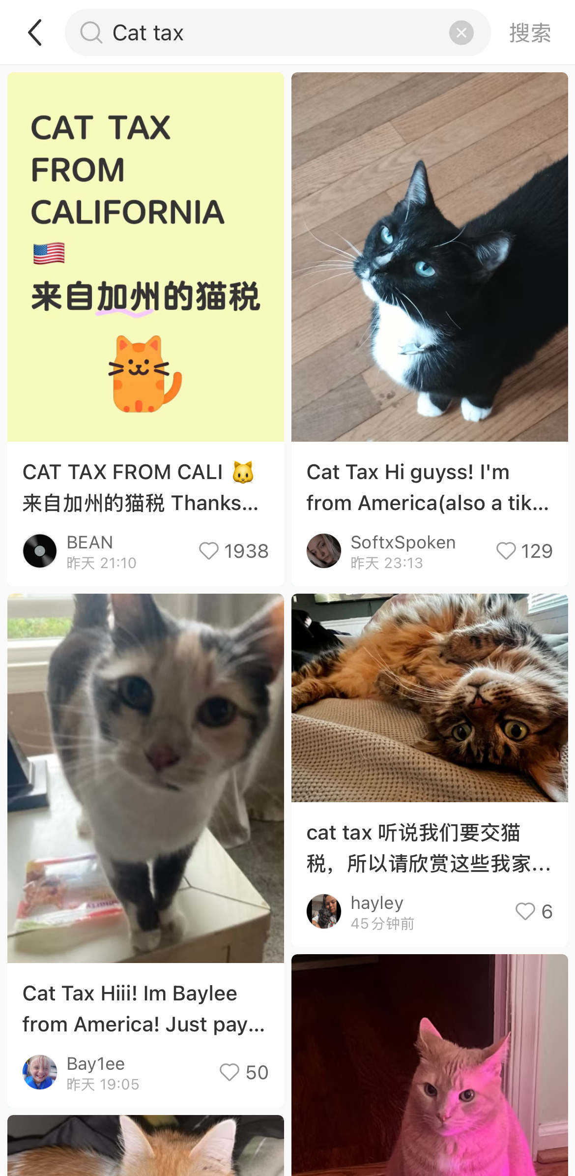 好吧猫税还是有点可爱的[苦涩] 