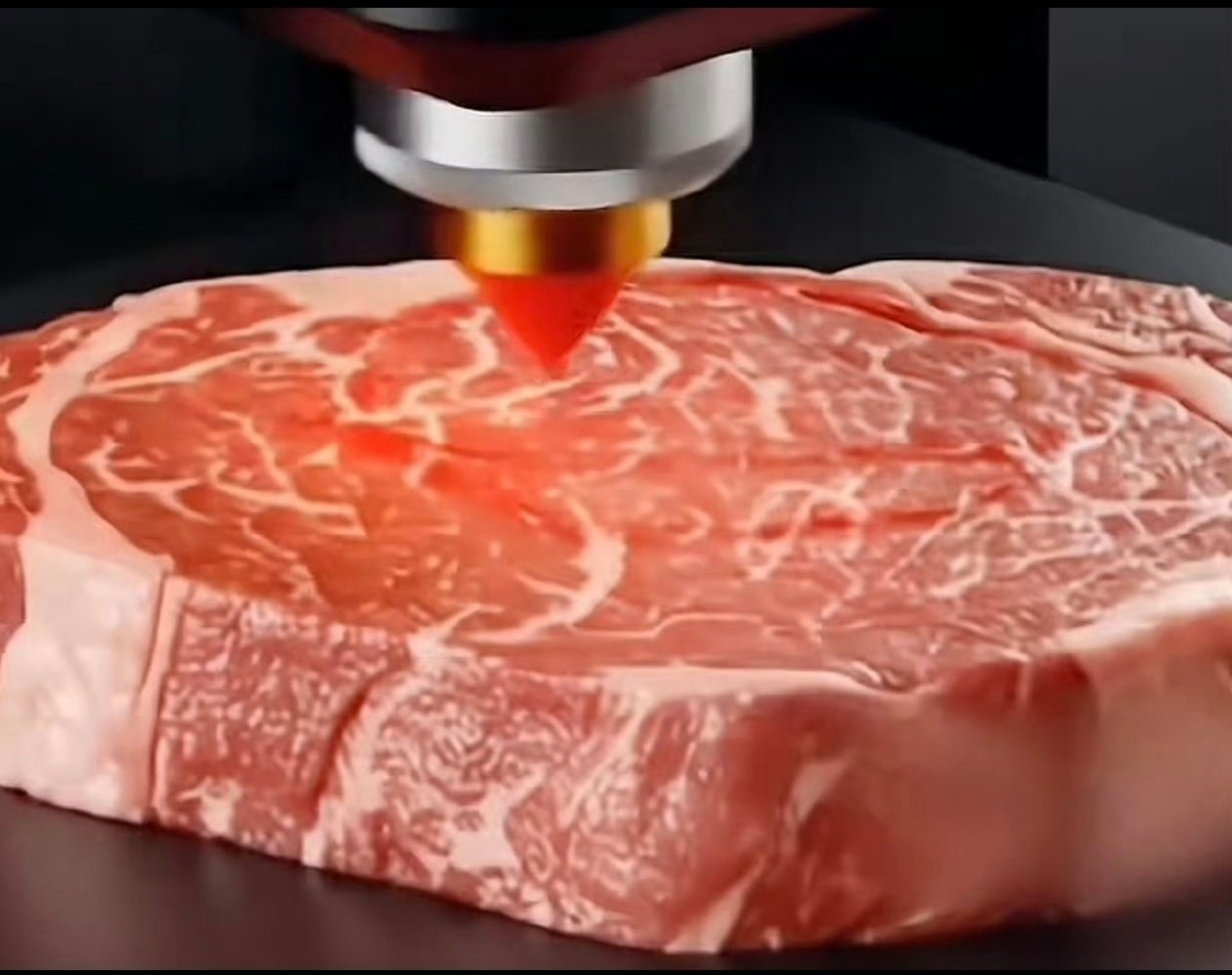 有生之年还能看见猪肉下岗 3D生物打印肉技术。。。也就是说以后工业可以解决一切。