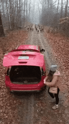 生死就在一瞬间～