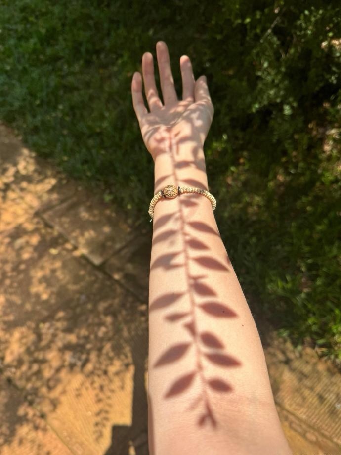 清明节假期是456三天是吧？热起来了，准备回山里头扫墓去。 