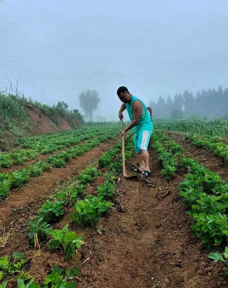 这个医生医术绝对精湛[赞]
1月14日，一媒体报道，浙江省台州市一40多岁未婚男