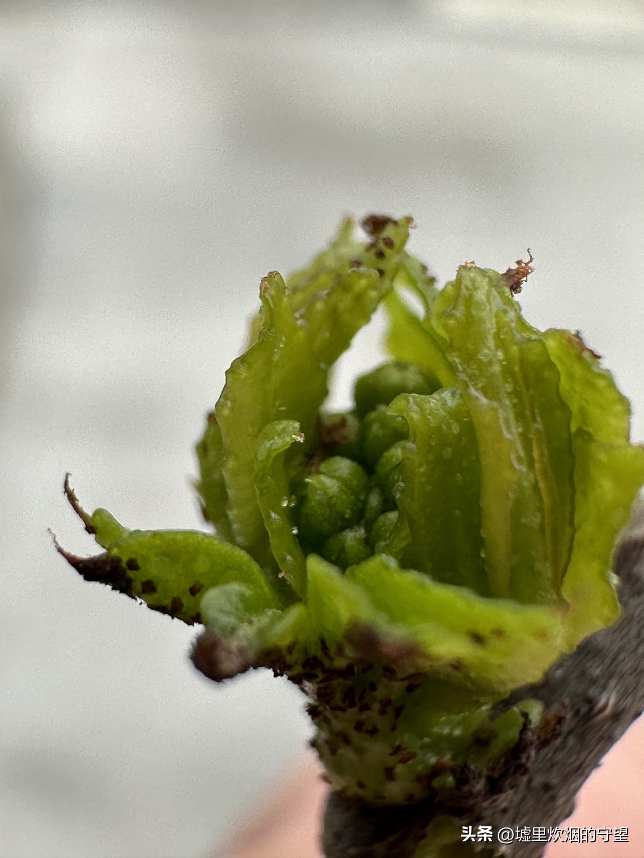 清晨下雨了……


早晨出门上班的时候，看了一下天气预报，知道今天有小雨。准备坐
