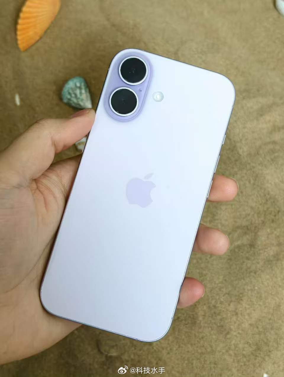 春节档手机市场成绩出炉身边不管是走亲戚还是出门逛街，总能听到有人在聊iPhone