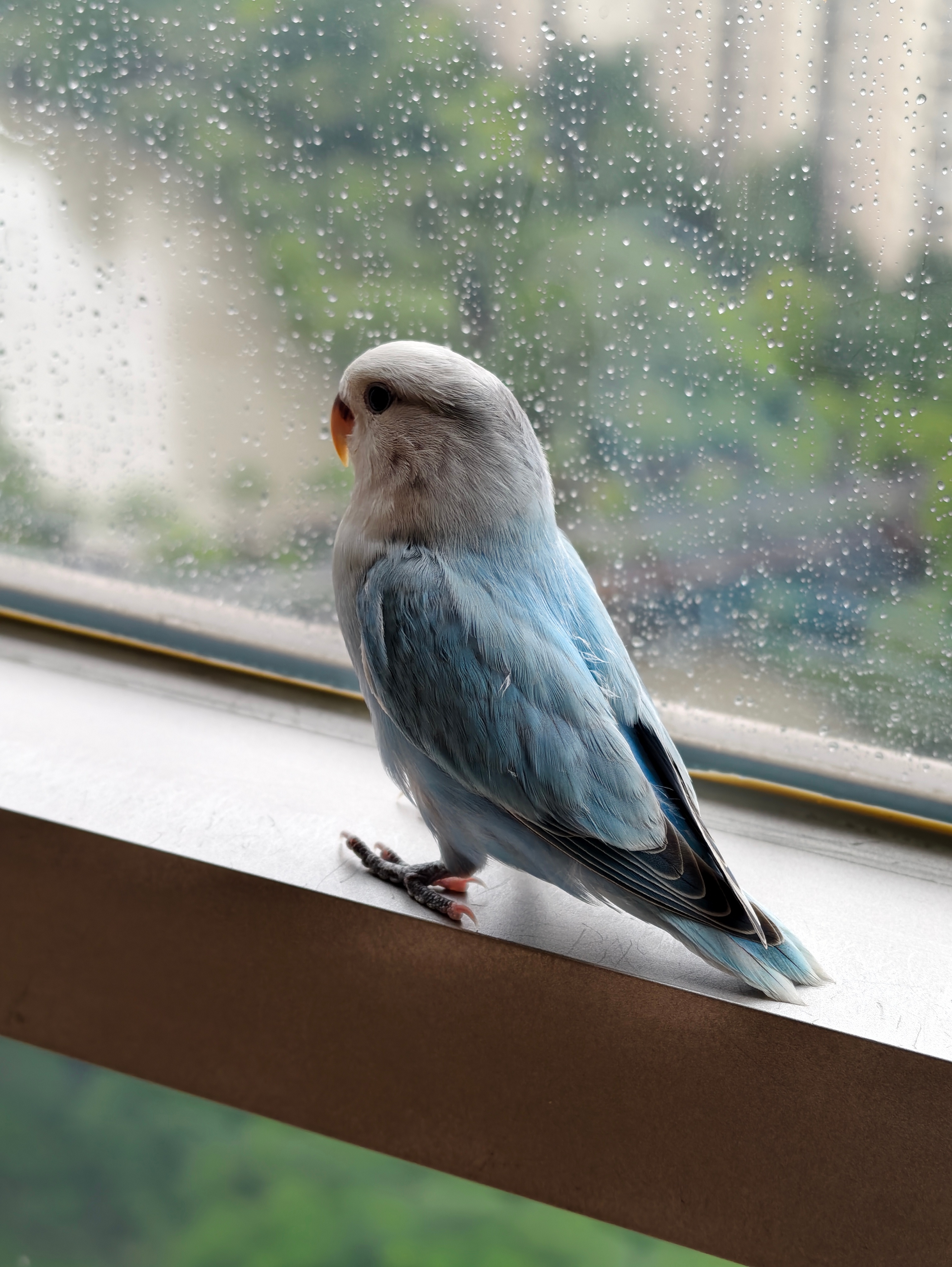 ☔️☔️☔️ 
