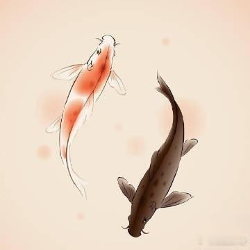 转发锦鲤 获取双倍好运 好事不断啊~！！ 