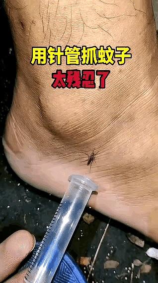半夜见一幕，心里“咯噔”：一位男的把电蚊拍按住不放，滋滋冒火星，直到那只小黑点卷