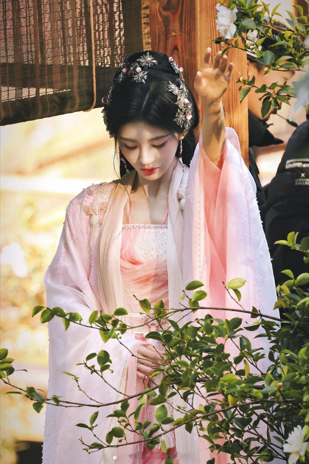 旅人停步折花淋湿了绸缎~好娇俏的美人，这是谁家的姑娘[送花花] 鞠婧祎[超话] 