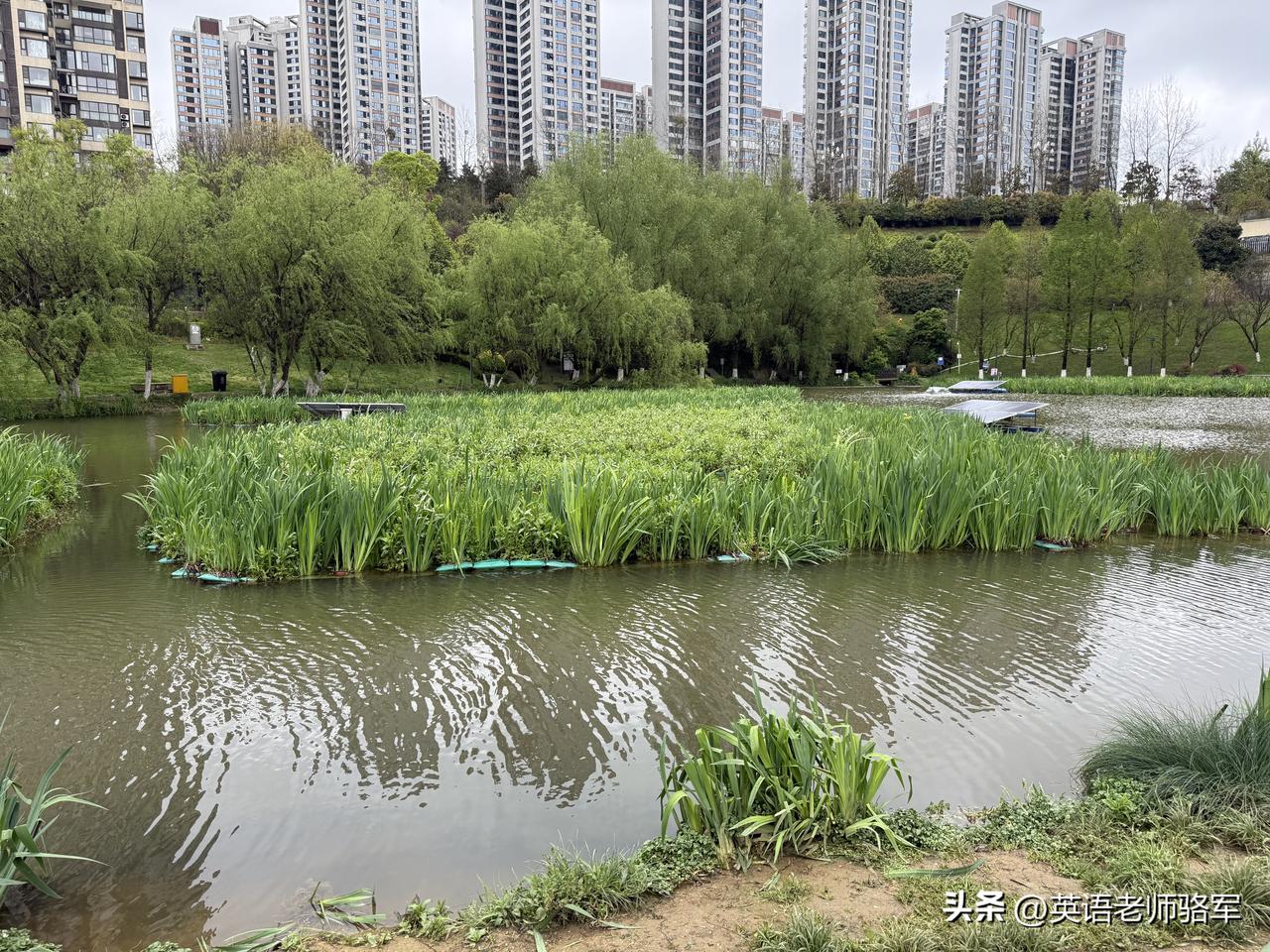春日生活打卡季