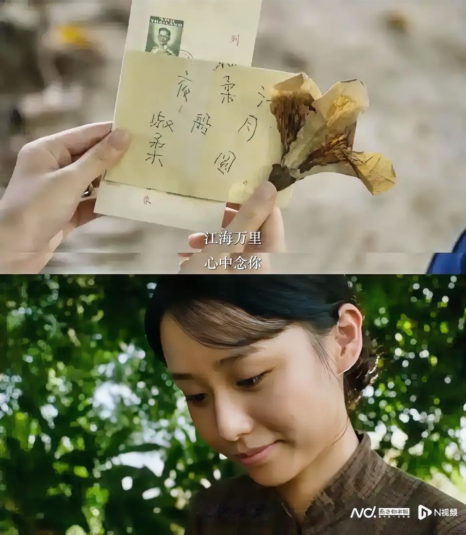 上个月走进了电影院，全家贡献了几张电影票，从来没有出过国的人，也没有那个时代在国