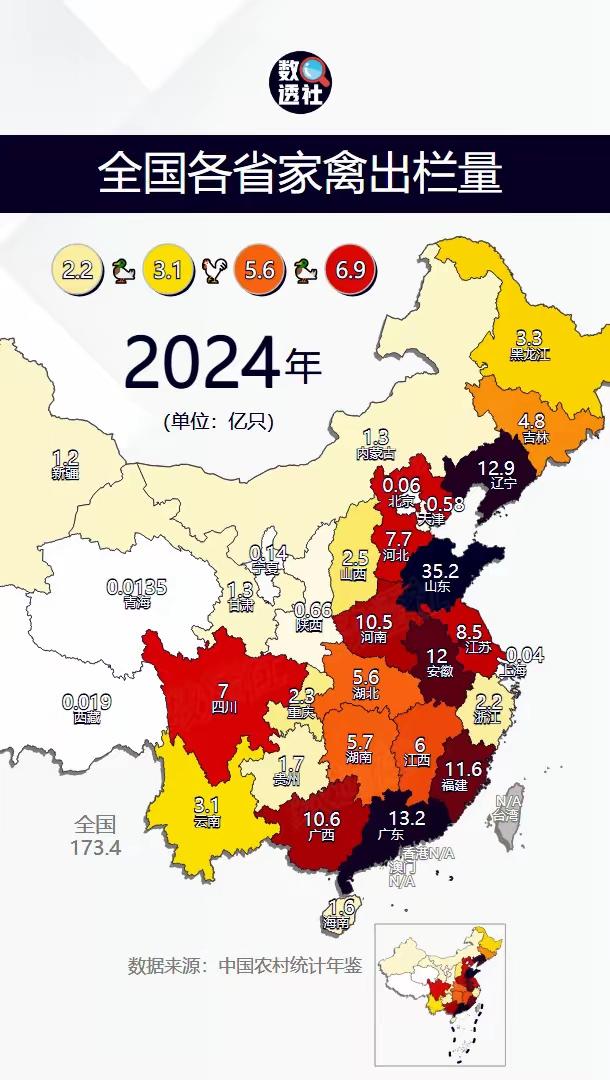 广东省虽然吃鸡多，但是家禽出栏并非全国第一！

在广东的饮食文化里，鸡是当之无愧