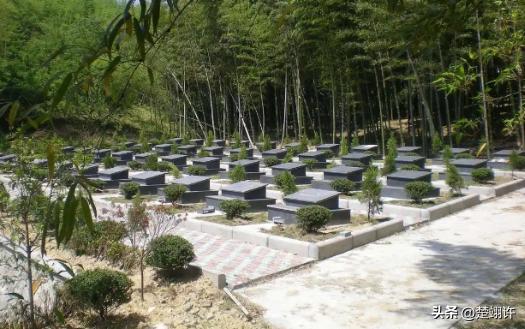 定了！3月30日全国执行新殡葬制度！死不起、葬不起的时代，终于要结束了！

一口