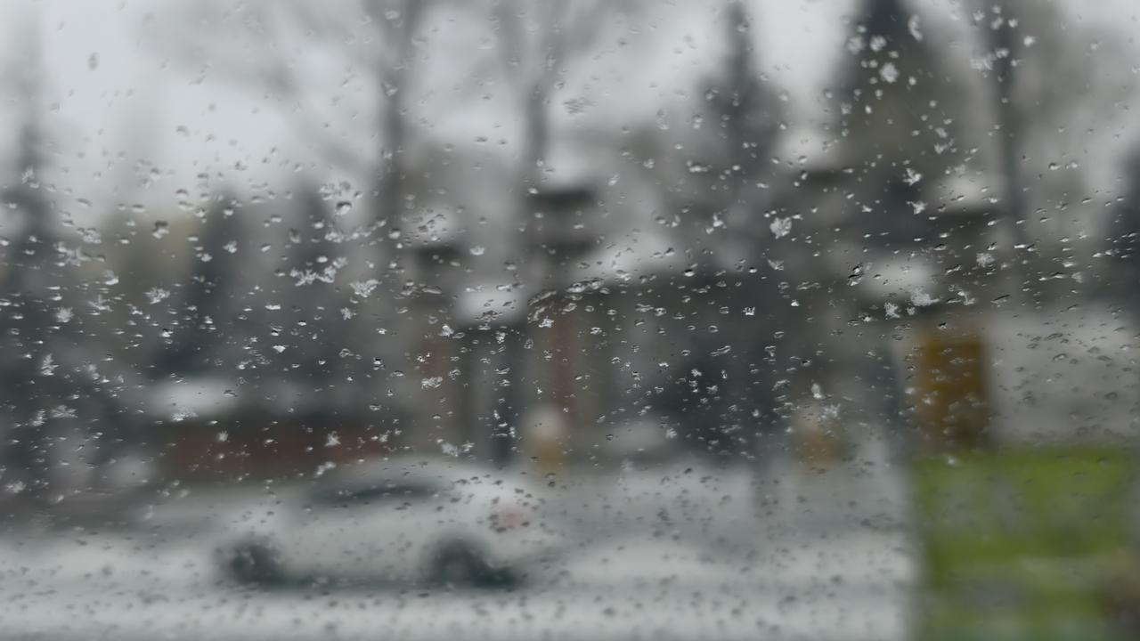 冬日生活打卡季