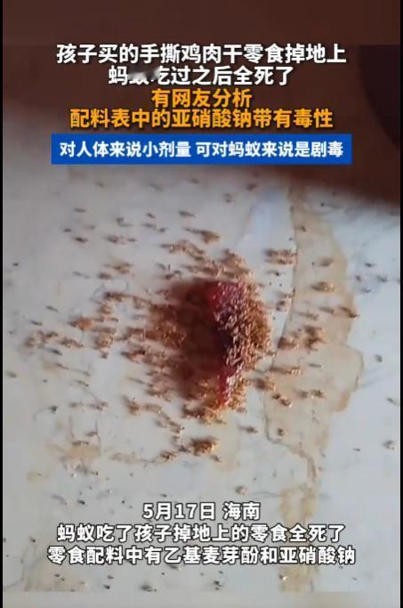5 月 20 日，据海南本地媒体爆料，一位家长给孩子出零食，孩子吃手撕肉干时掉了