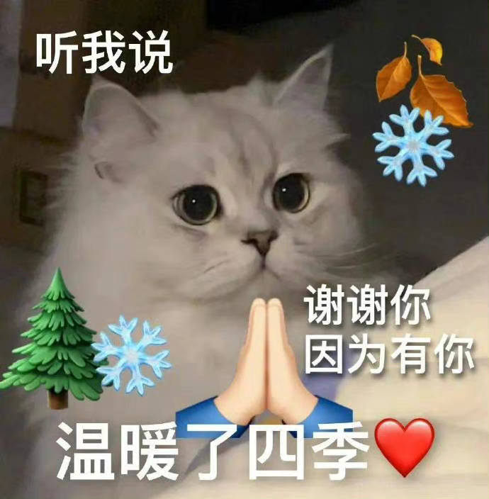 我昨晚梦到我的实时回来了[怒][怒][怒]​​​