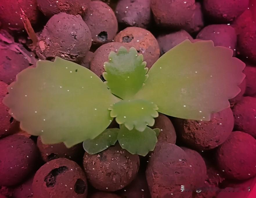 今天摆烂了，有点讨厌这样的自己！
早上按计划拜访客户，没想到第一家客户就关门出去