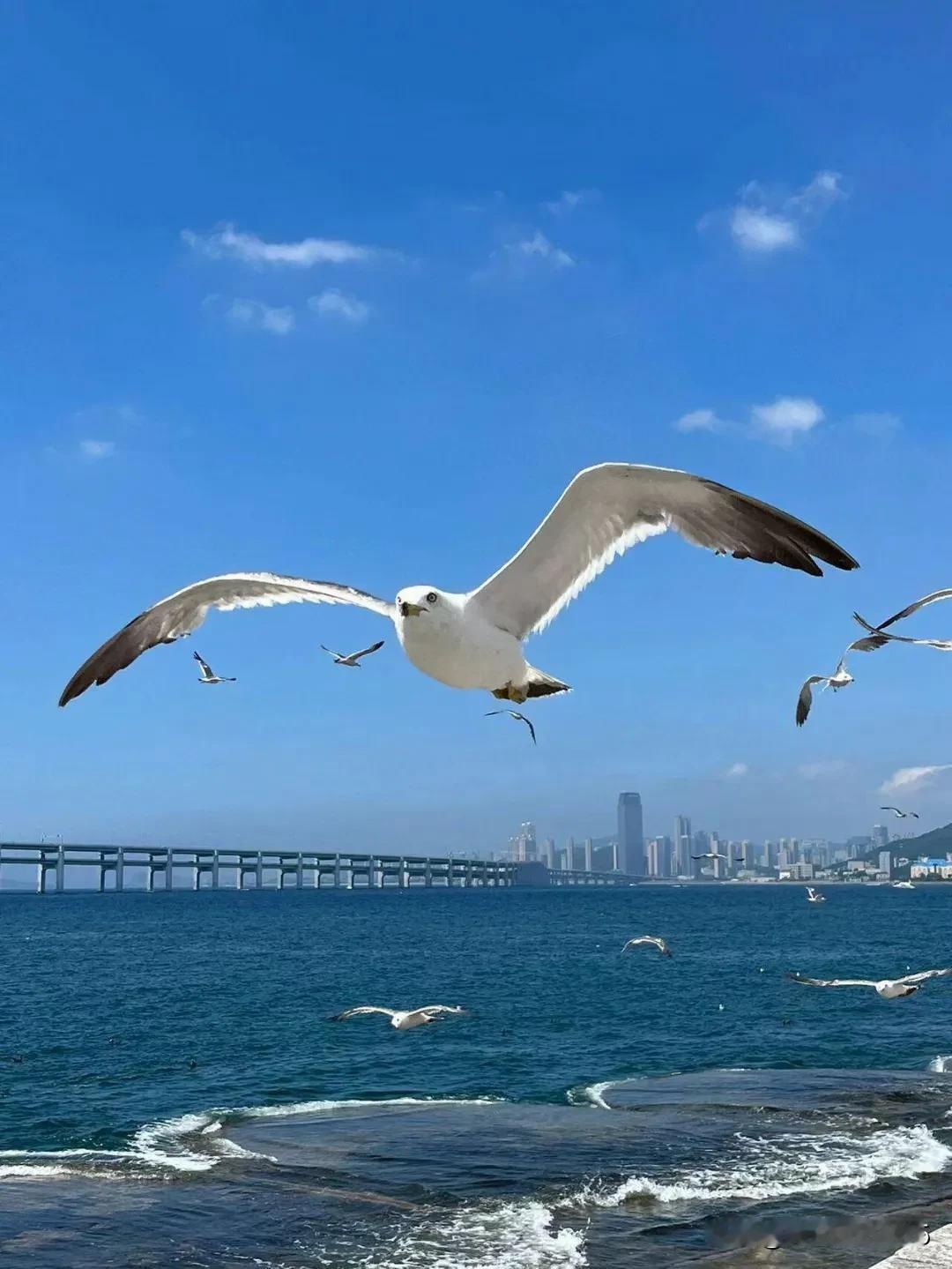 今天的风吹起有些凉
但是依然有太阳
慢慢走慢慢看
一路皆风景
诗酒尽相随
自在红