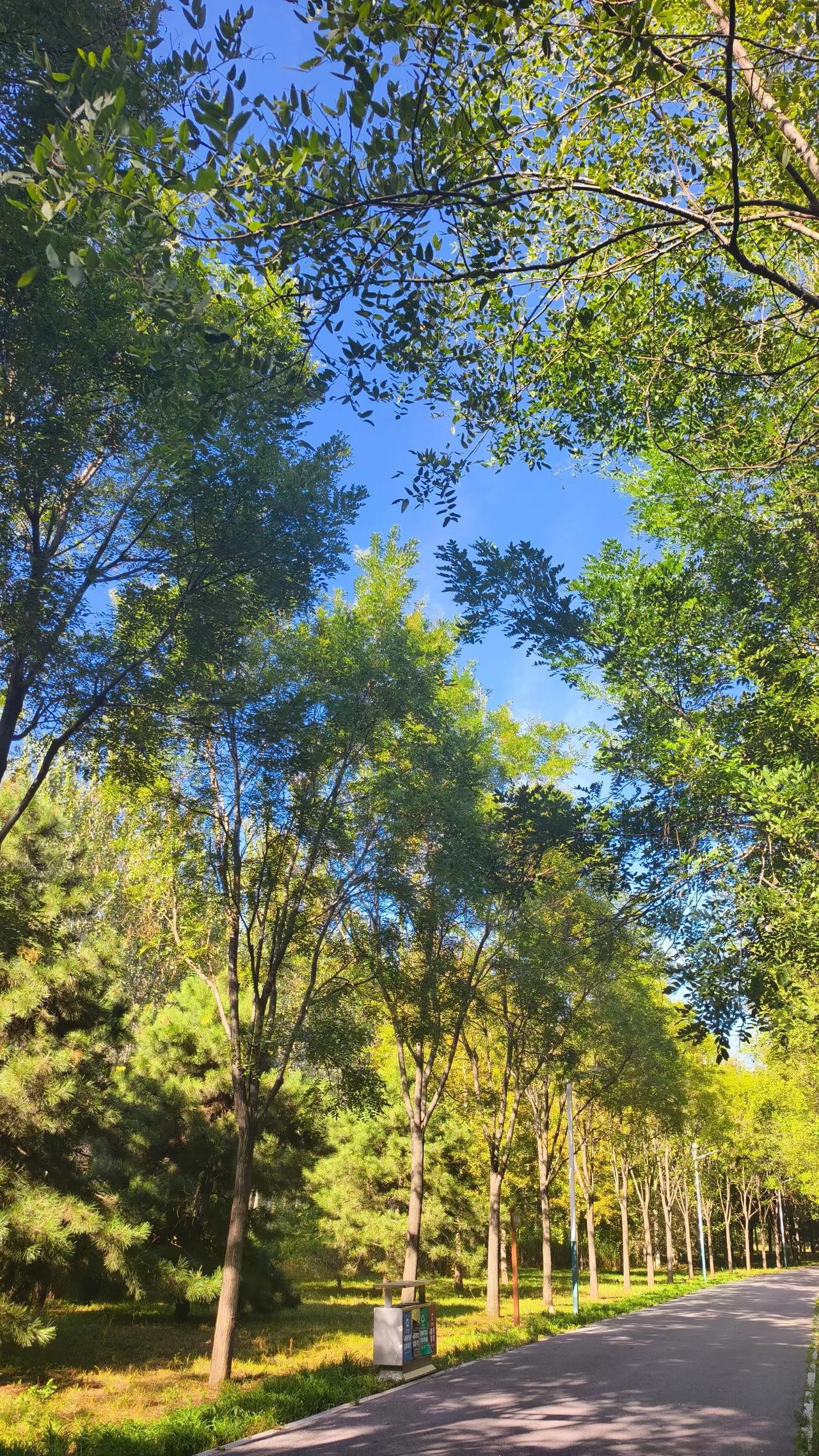 分享一下你随手拍下的照片