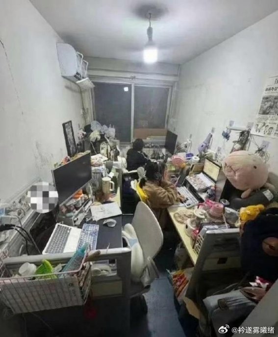 这环境待久了能不生情？ 