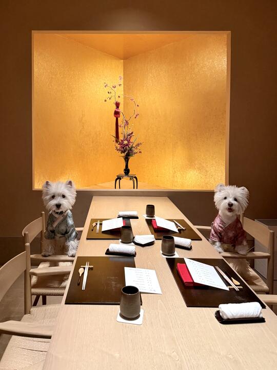 小狗也要吃omakase🍶