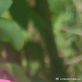 阳光信用 每日一善 看看蓝天，拥抱大海，享受阳光，最好的时光在路上，一路向阳。存
