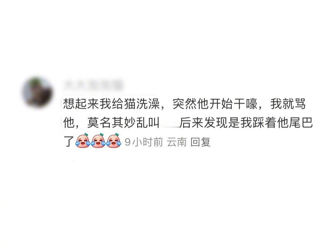 可怜的猫：我莫名其妙乱叫？我也就是吃了不会说人话的亏有苦说不出，我没梆梆打你已经