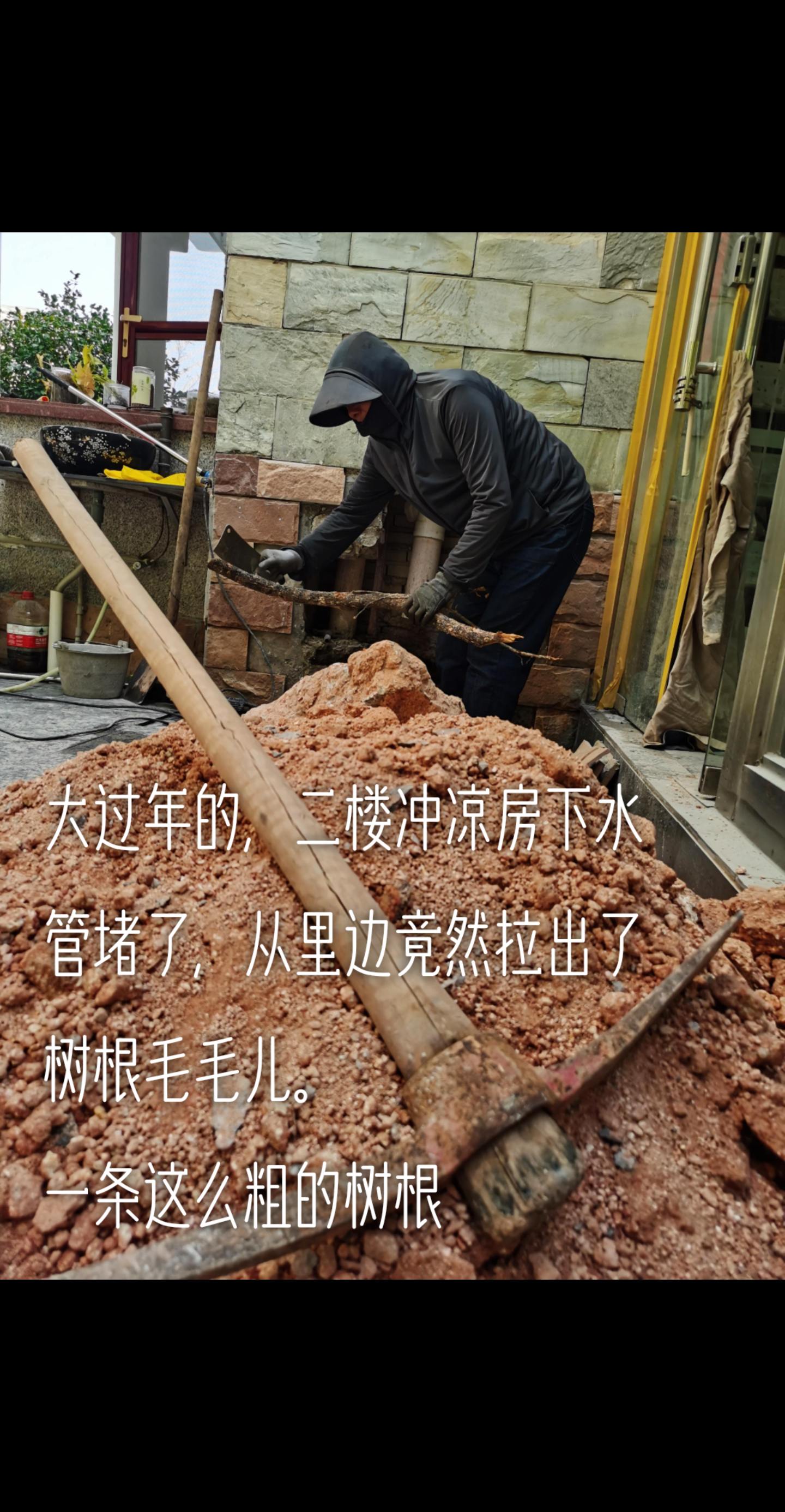 大过年的，二楼冲凉房下水管堵了。竟然拉出了树根，毛毛根。` 一条这么粗...