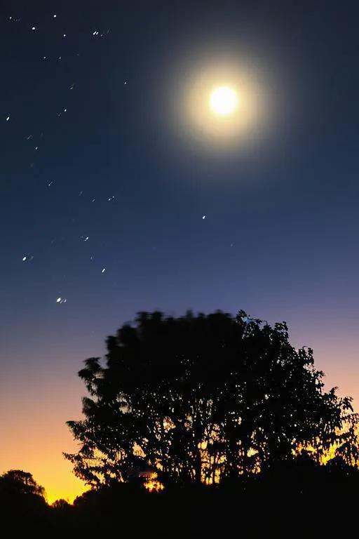 上联：？？？
下联：繁星闪烁明月悬。