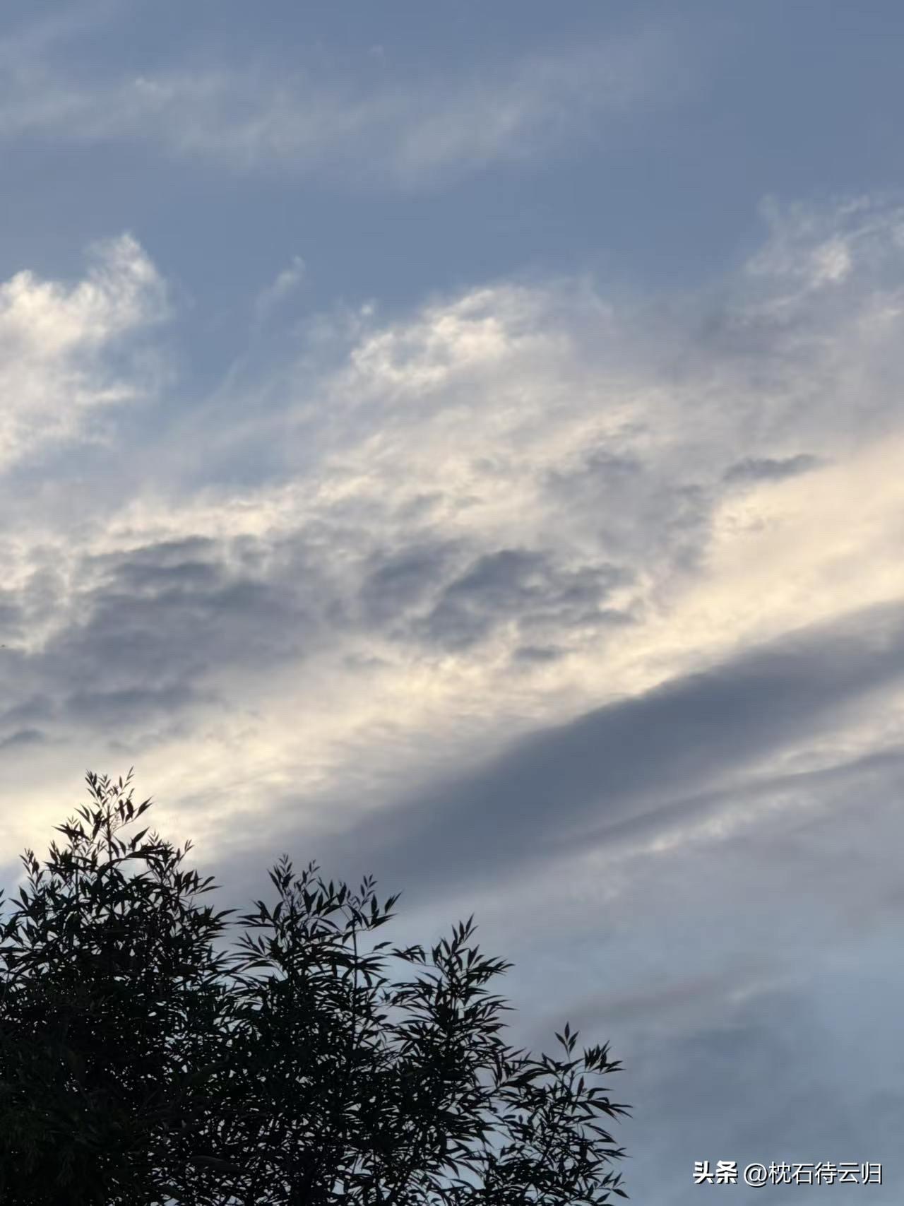 唐多令·夏夜杂感

荒废帝王城，失传山海经。混沌初，谁令刀兵。汹涌江河奔未息，凭