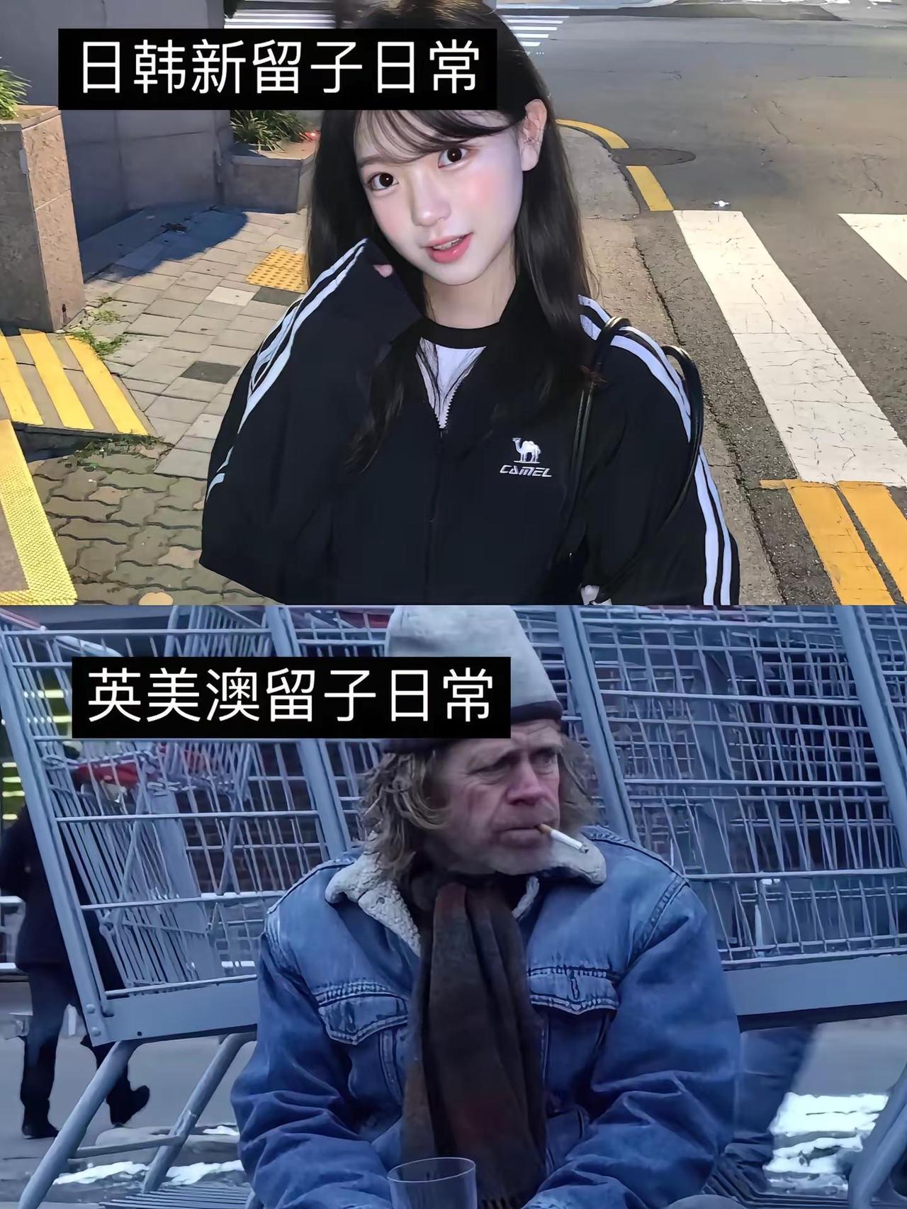 日韩新留子vs英美澳留子。两种留子的日常状态，看看是不是这样留学生现状