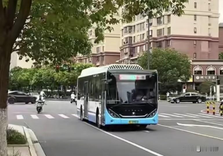 三伏天公交堪比桑拿！隐藏规则曝光，看完瞬间懂了
 
今年三伏天有多热，相信大家都