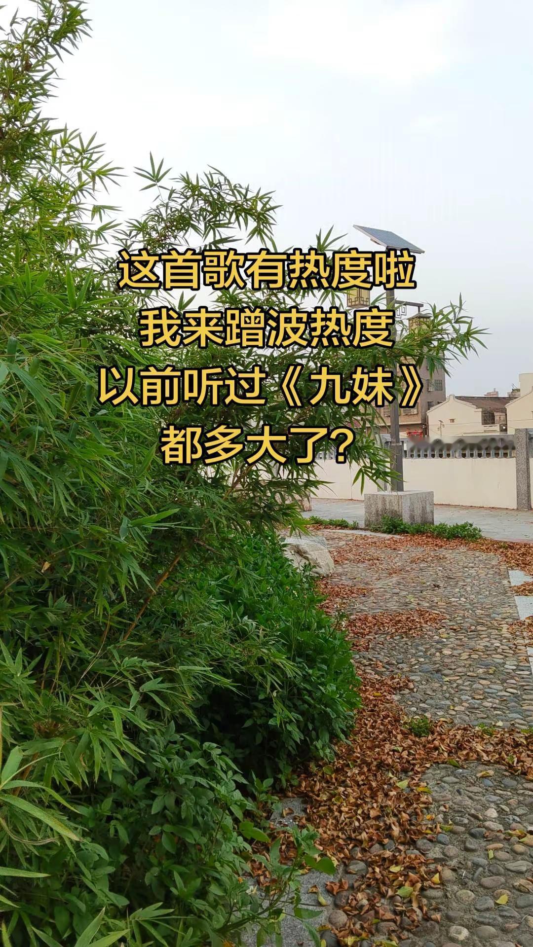 初听不知曲中意，再听已是曲中人，当年天天听九妹的都多大了，是否有过遗憾？竹径 玩