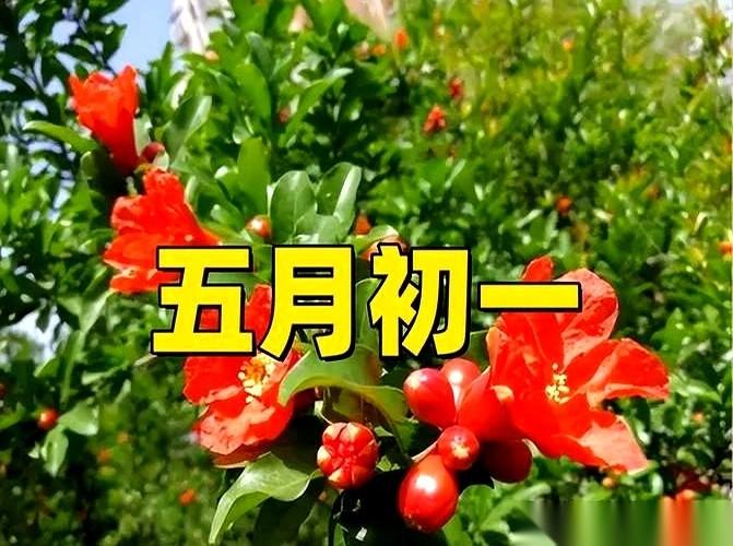碗柜里，那只平时最顺手的宽口面碗，今天被我往最里面推了推。
今天是农历五月初一，