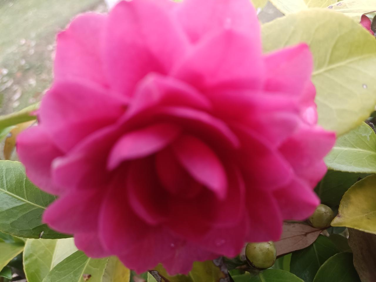 在AI时代，面对挑战，迎难而上，学习与实践上战胜困难，在创新上探索新时代。