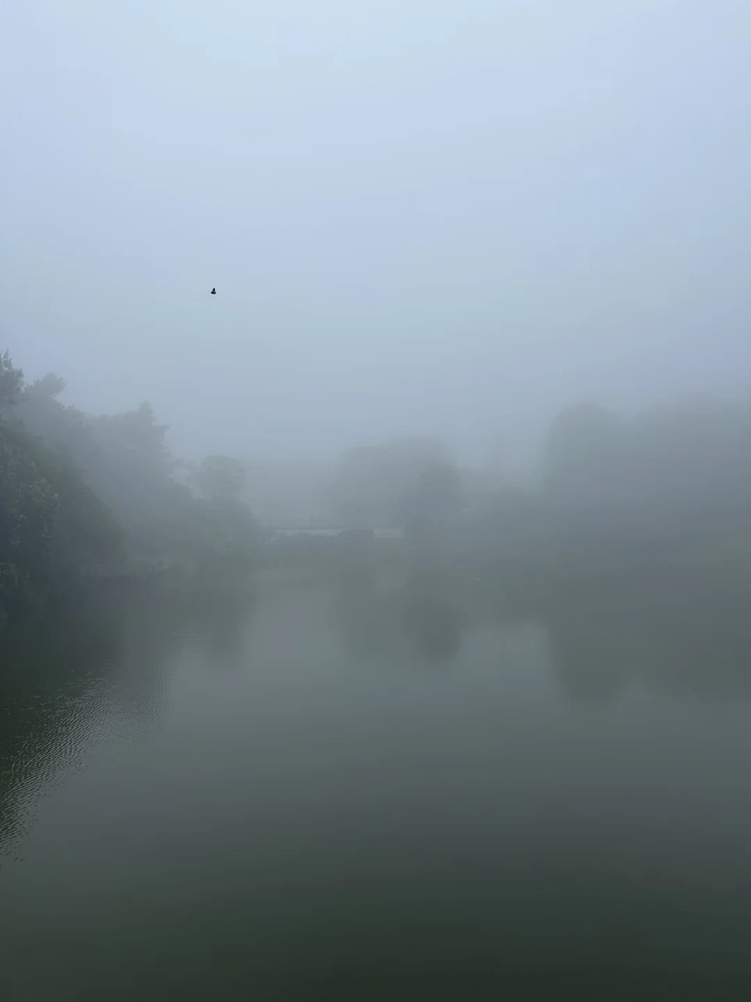 福州，你是真不想让我给朋友圈交代